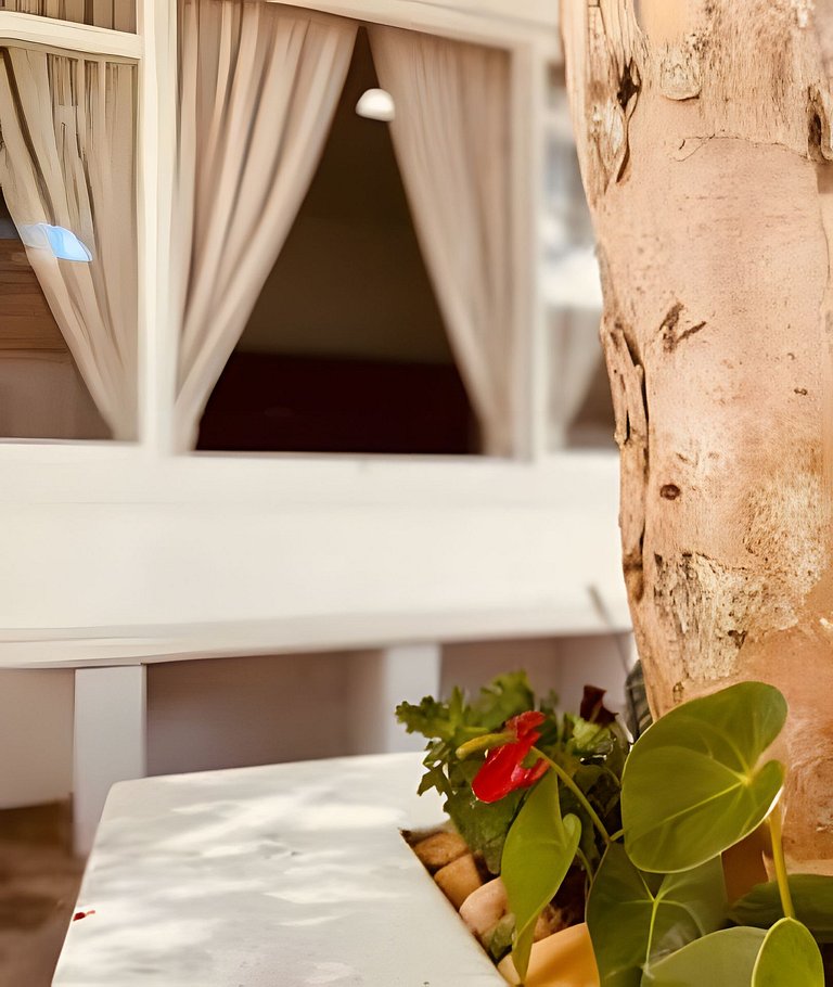 Suíte charmosa com quintal privativo